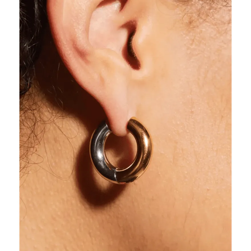 Hoop Earring Two Tone Hinge